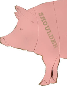 illustration of front half of a pig