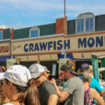 Crawfish Monica
