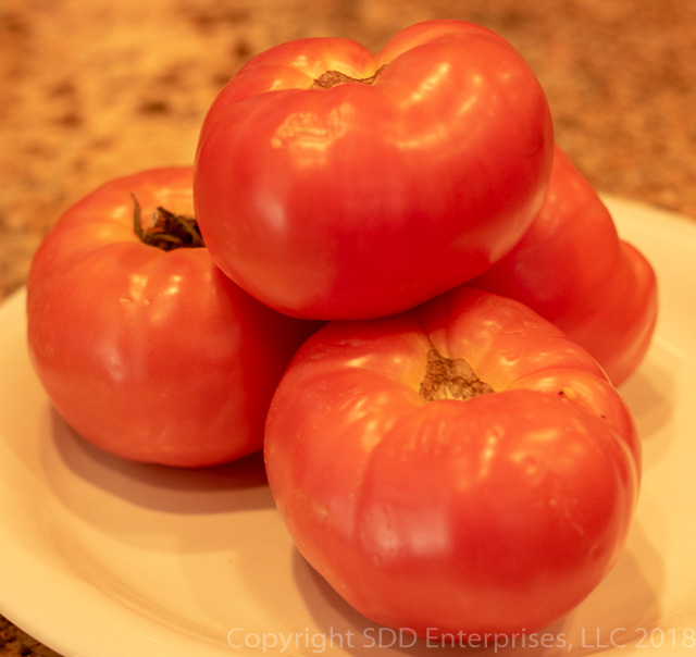 Creole Tomatoes