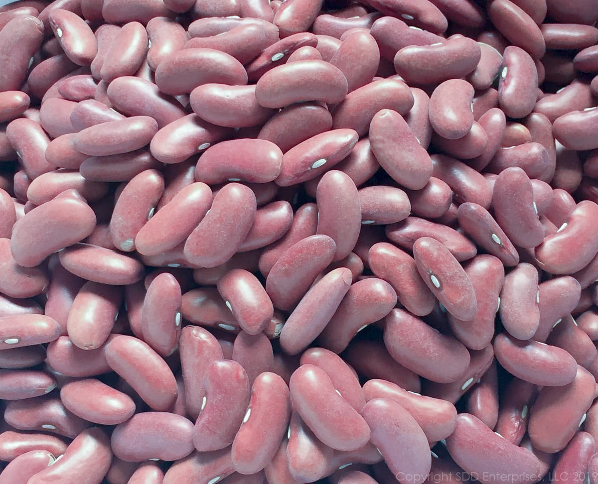 Dry Red Kidney Beans-Camellia Brand