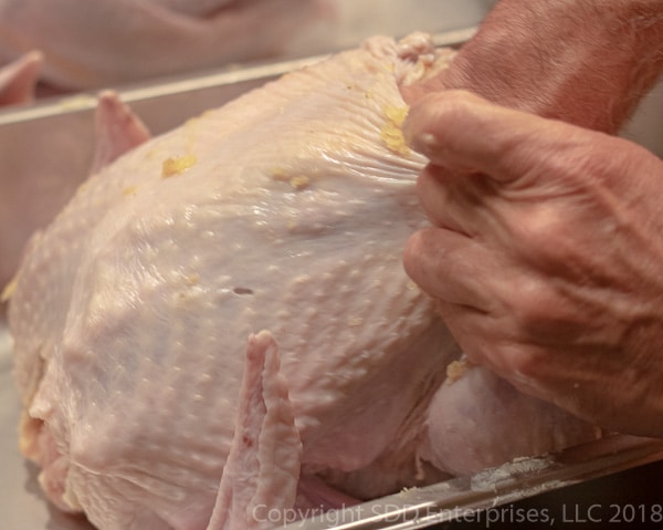 hand under the turkey skin to separate it from flesh