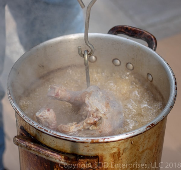 Lowering the turkey into the hot oil