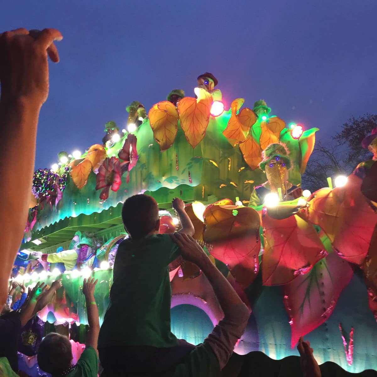 Crowd watching Endymion Parade