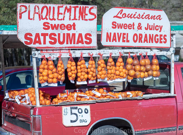 produce truck selling satsuma and navel oranges