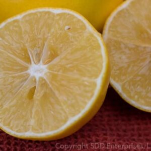 Meyer Lemons sliced in half