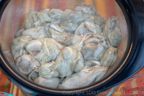 fresh oysters in a strainer over a bowl
