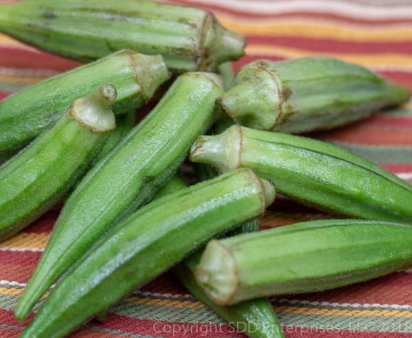 fresh whole okra