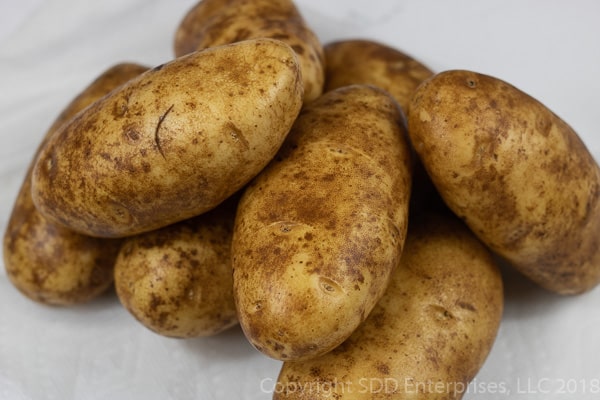 several russet potatoes