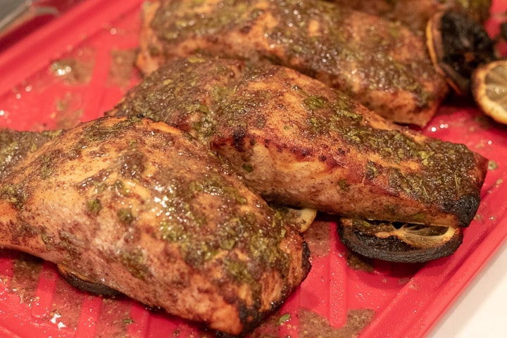 grilled cilantro-creole mustard marinaded salmon filets on a red platter