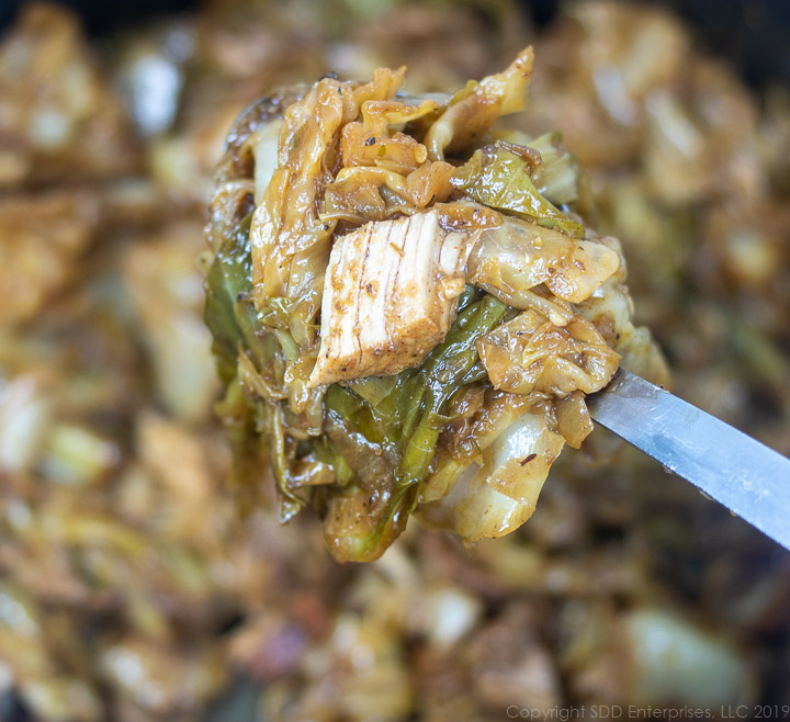 a spoonful of smothered cabbage and pork 