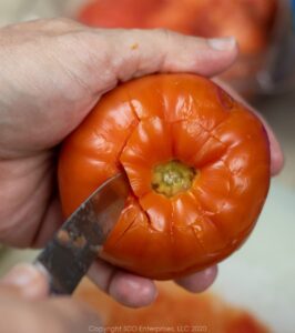 Destemming a tomato