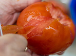 Peeling a parboiled tomato.