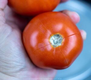 a fresh tomato with a crosshatch cut in the top