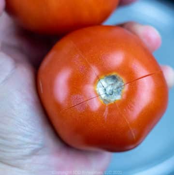 a fresh tomato with a crosshatch cut in the top