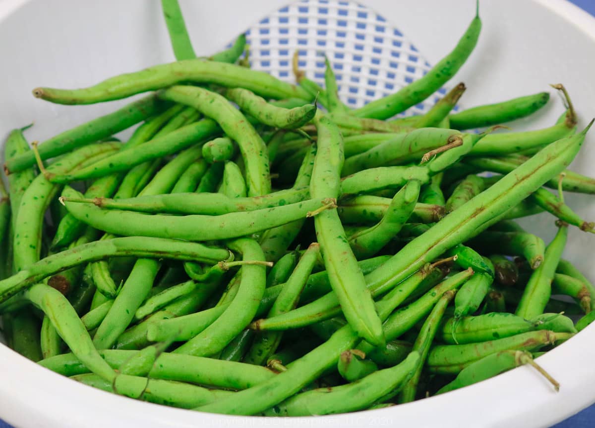 fresh green beans in a white colander