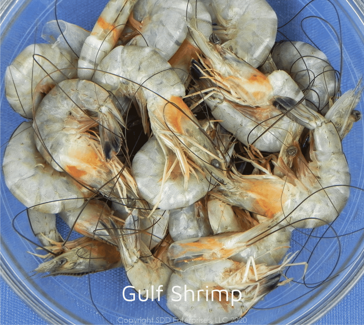 whole shrimp in shell with heads on in glass bowl