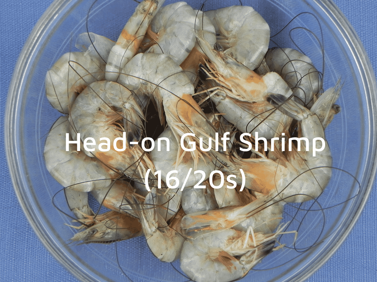 large head-on gulf shrimp in a glass bowl