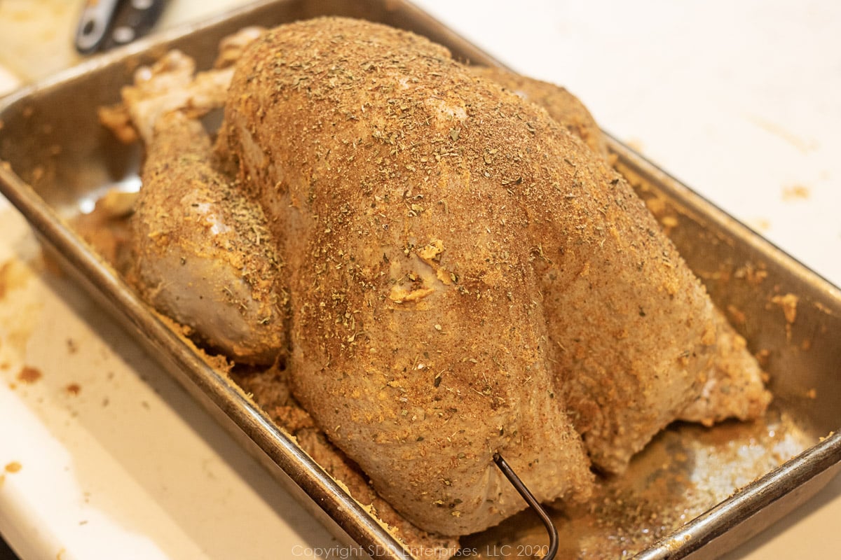 rubbed uncooked turkey with temperature probe