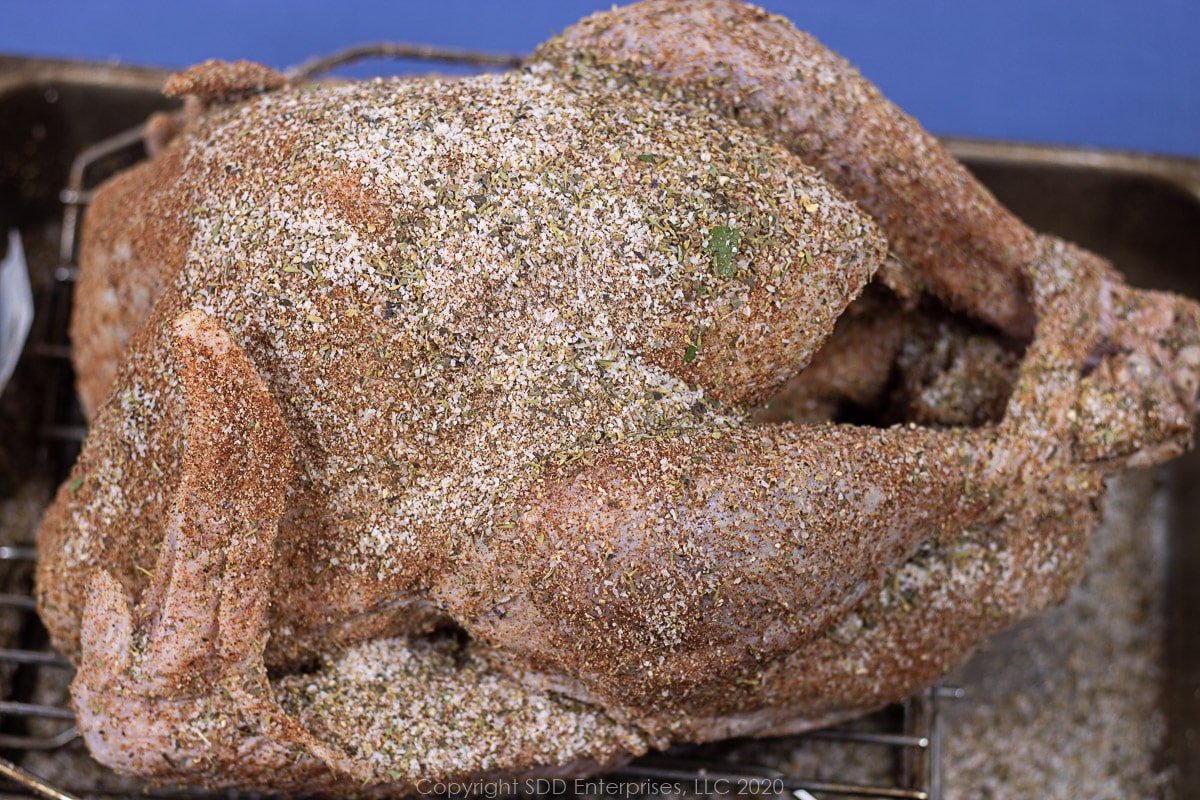 uncooked whole turkey with dry brine applied