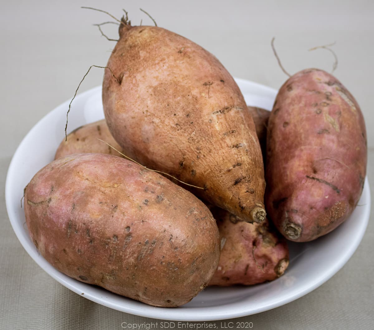 louisiana sweet potatoes in a white bowl