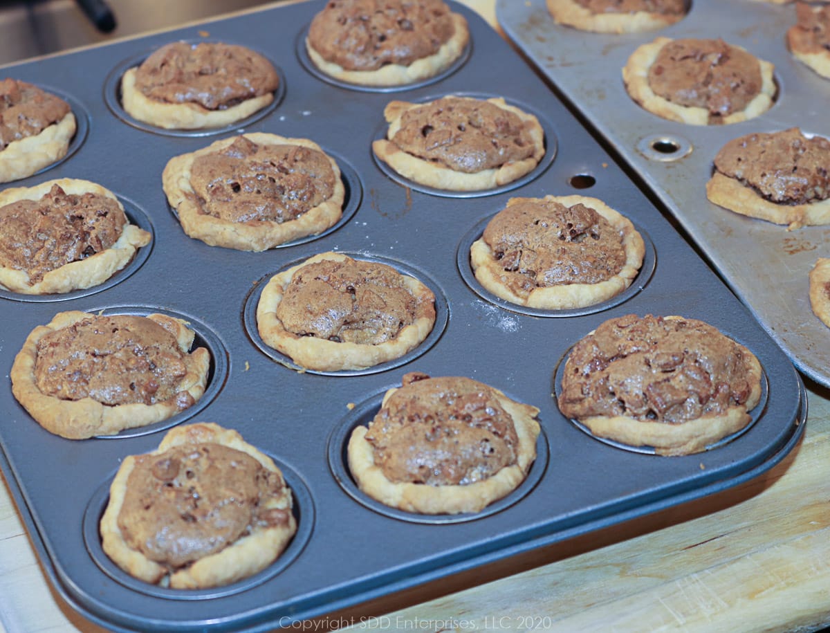 baked pecan tarts right out of the oven