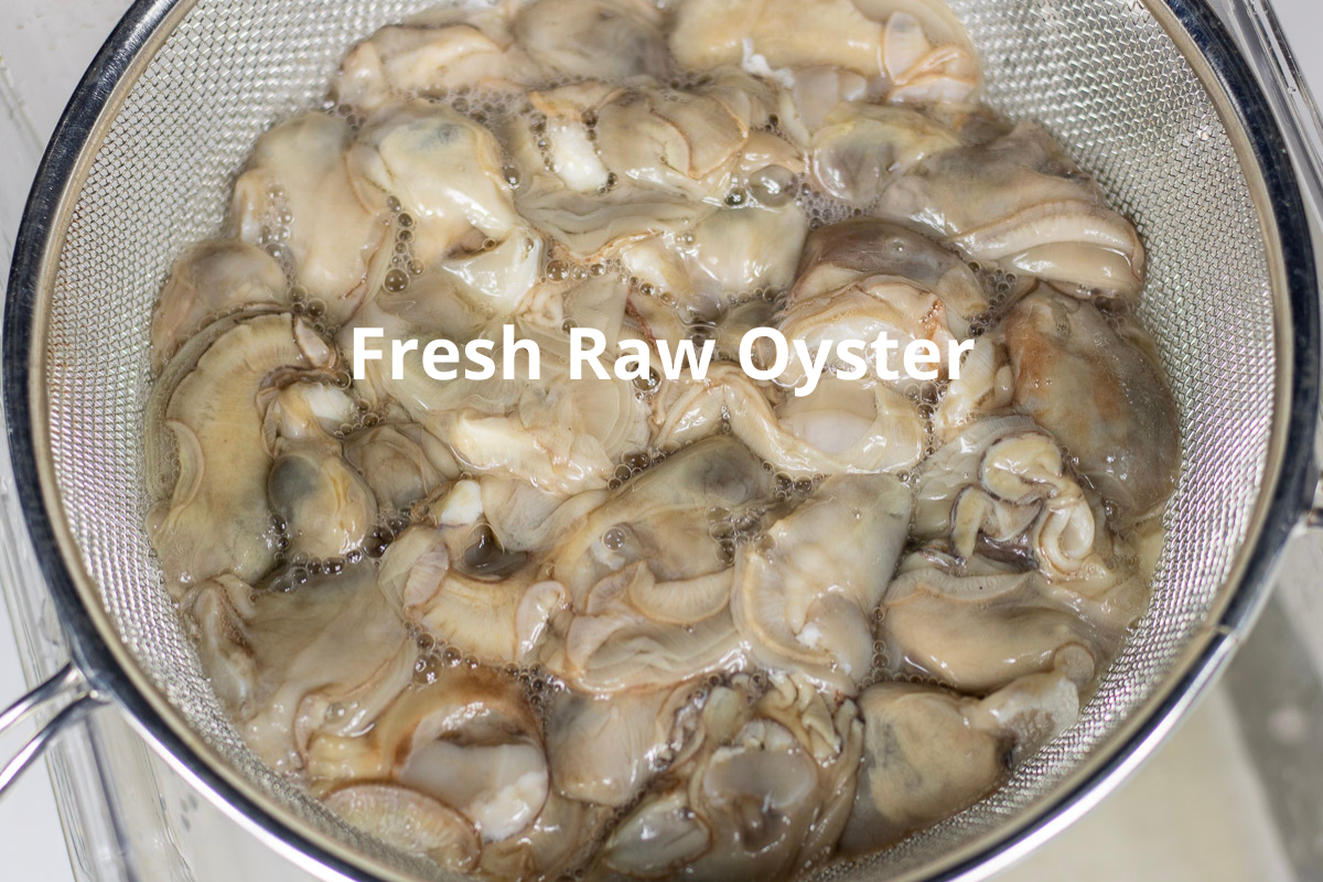 Fresh raw oysters in a strainer