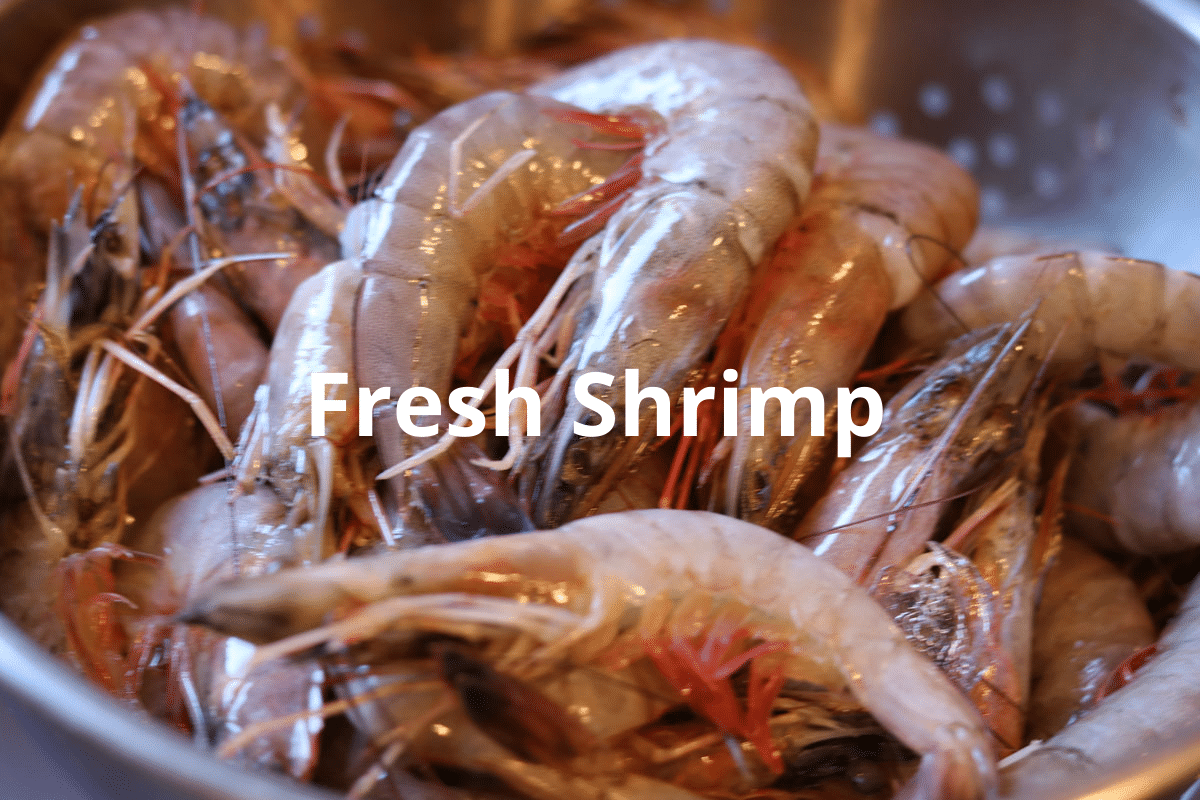 fresh shrimp in the shell