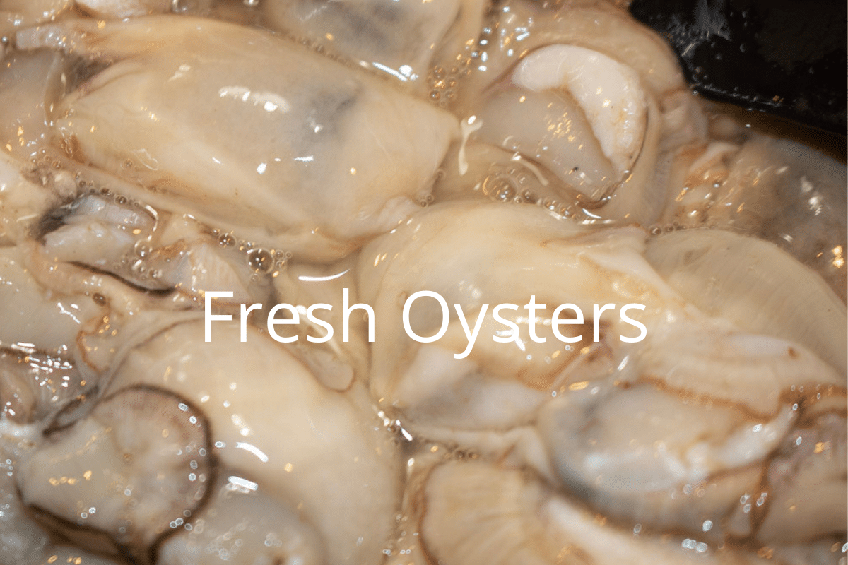 fresh oysters