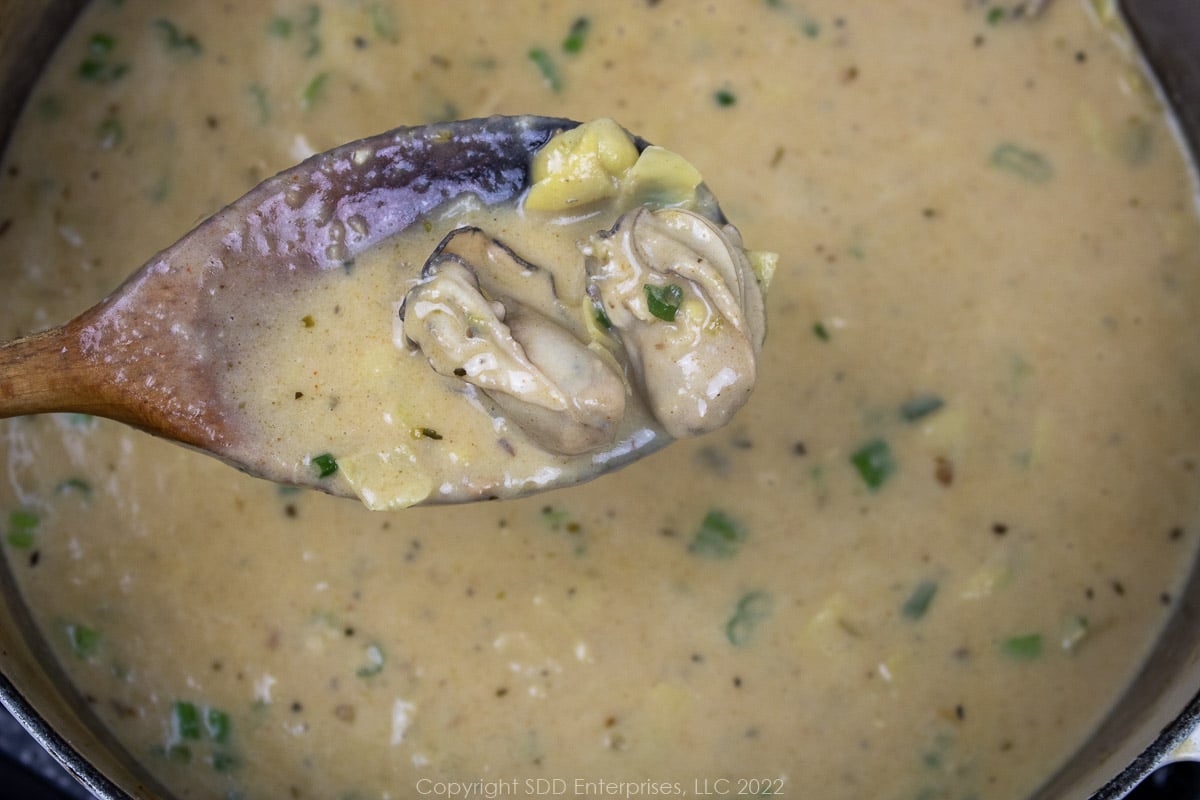 oyster curling in a simmering stock