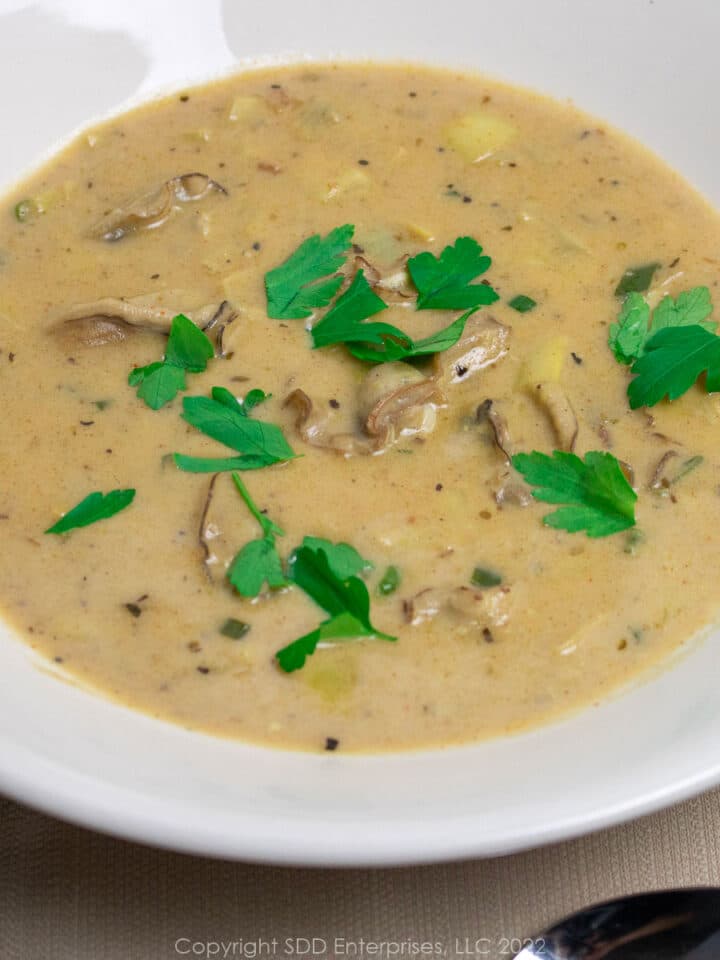 oyster artichoke bisque with garnish in a white bowl