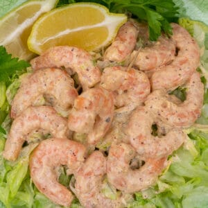white remoulade sauce mixed with shrimp on a bed of lettuce