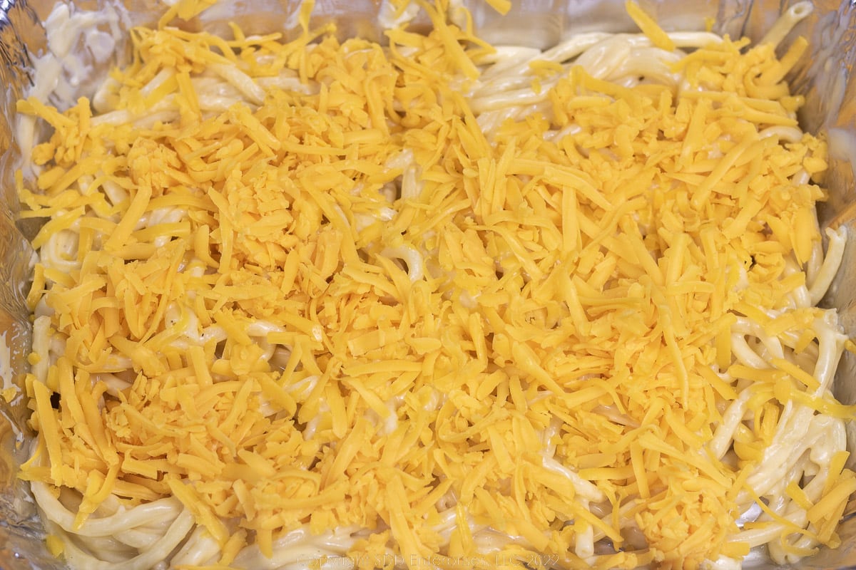 cheese topping a layer of pasta