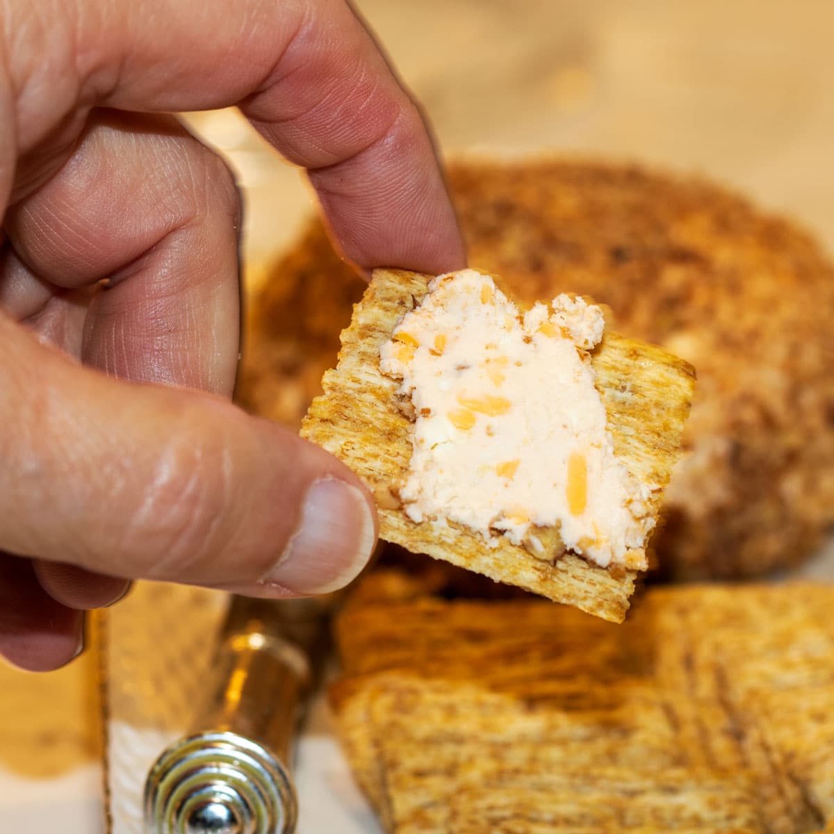 Cheese ball on a cracker