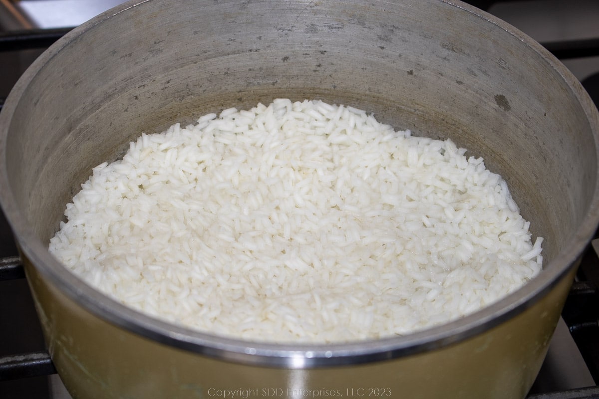 cooked rice in a sauce pan