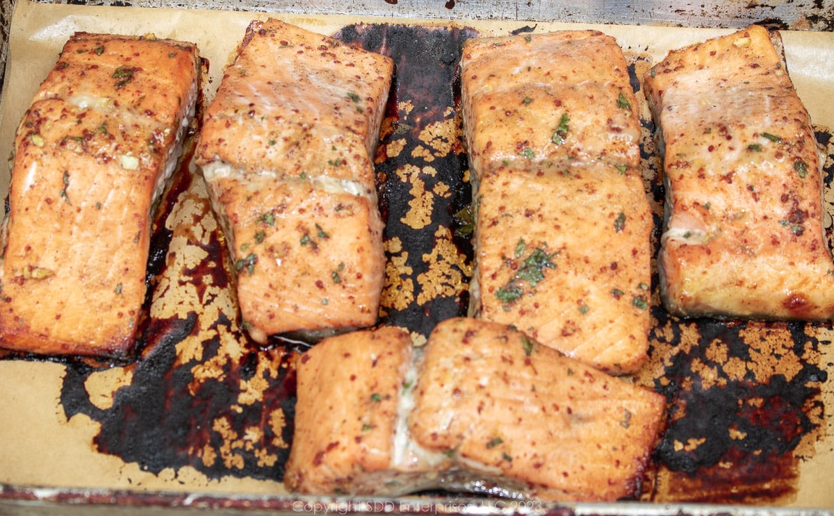 baked salmon fillets in a baking dish