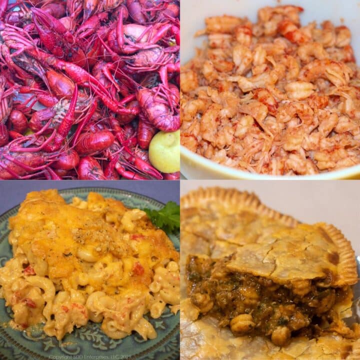 montage of crawfish recipe images