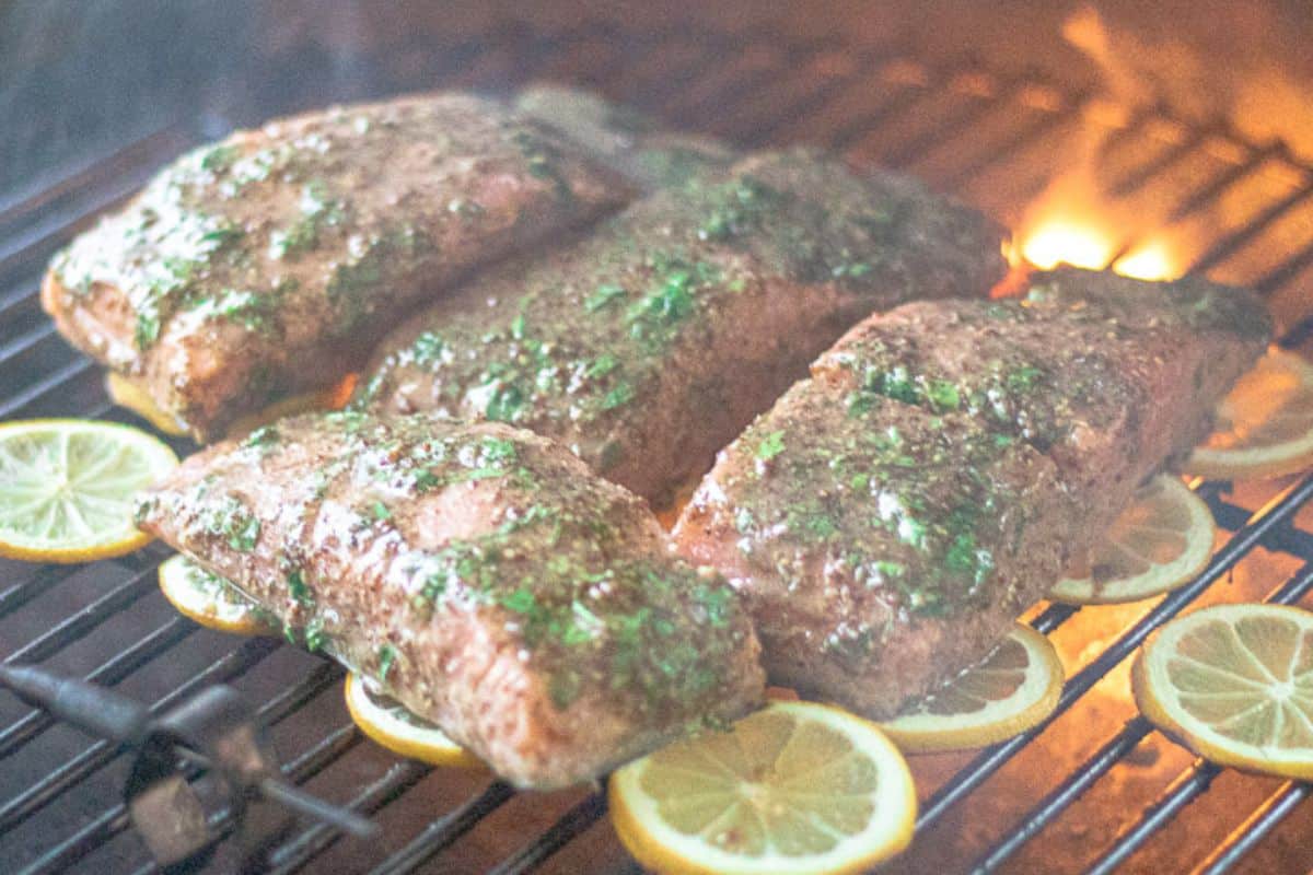 salmon fillets on the grill