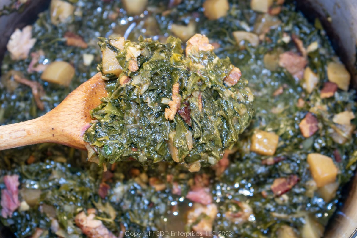 smothered turnip greens on wooden spoon over a Dutch oven