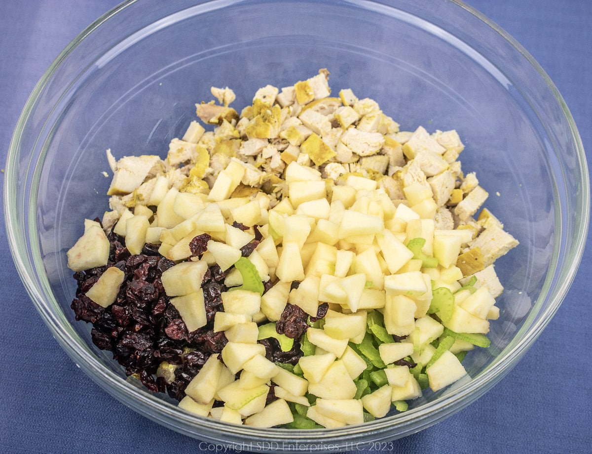 dried cranberries, chopped apples, and celery with chopped chicken breasts in a glass bowl