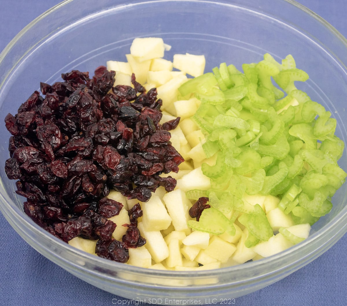 prepared dried cranberries, apples and celery for chicken salad
