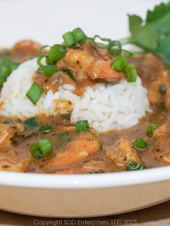 Shrimp Étouffée with rice and garnish in a white bowl