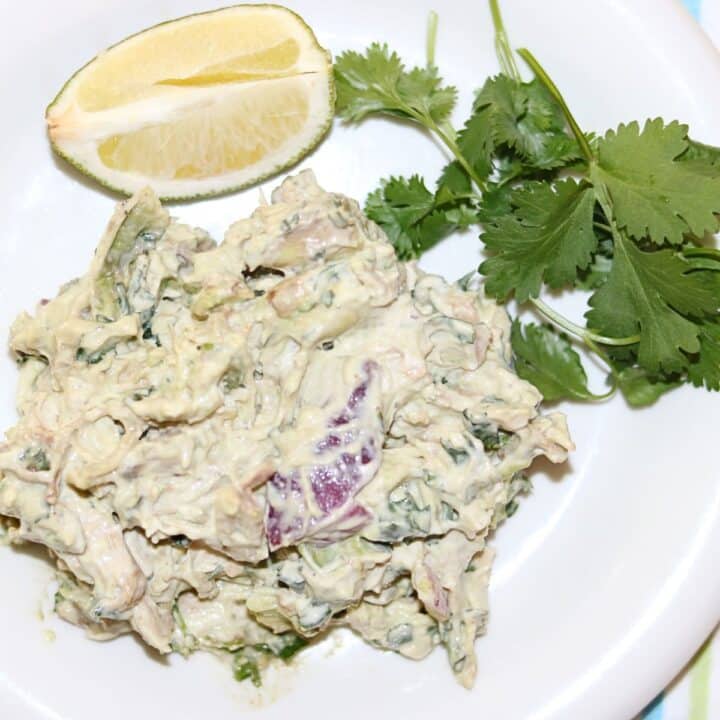 southwest chicken salad with cilantro garnish and lime wedge