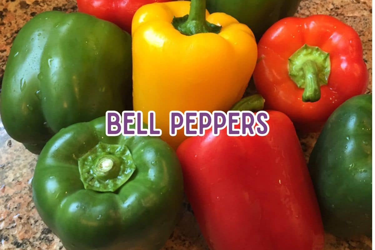 Colorful Bell Peppers.