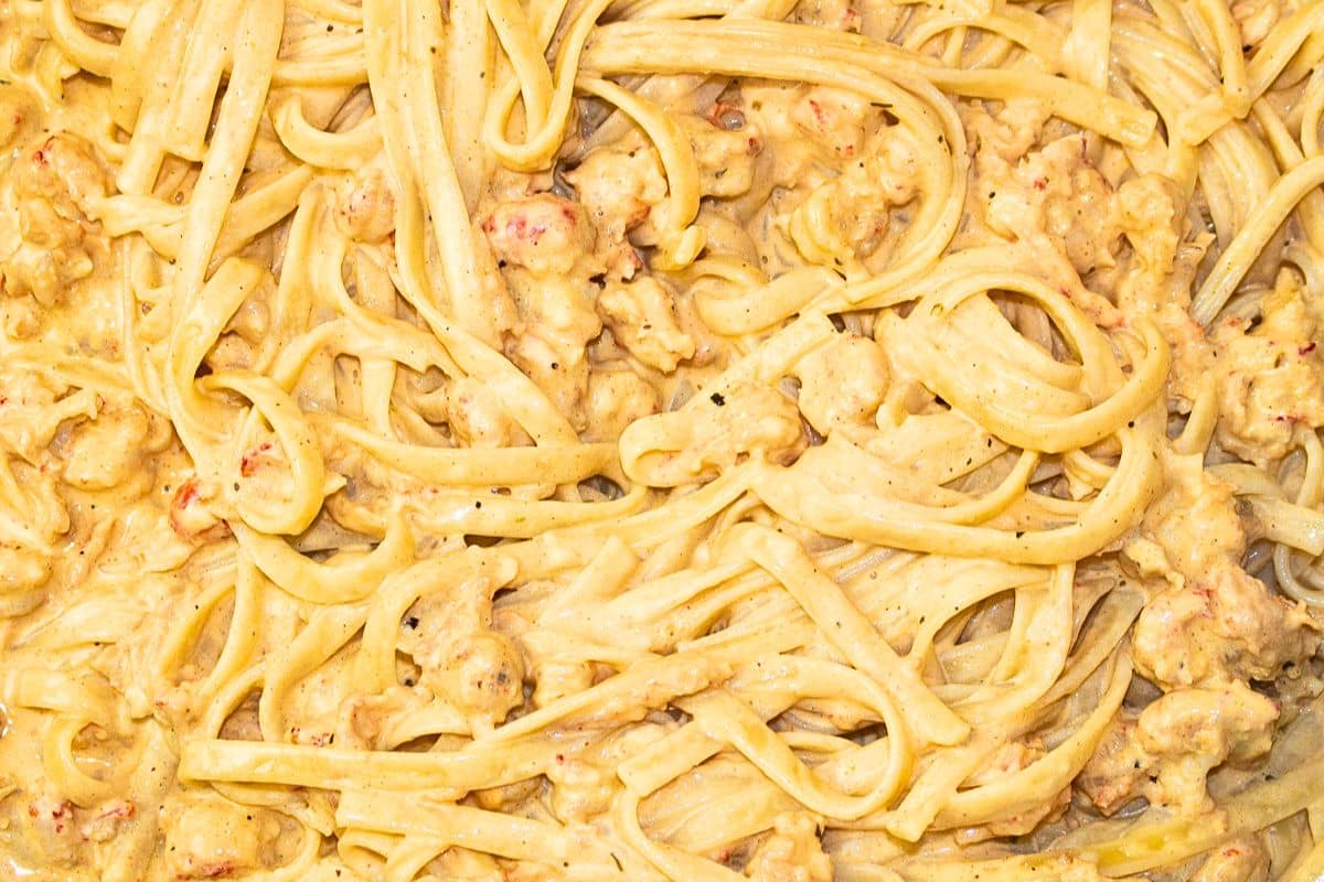 Closeup of Crawfish Fettuccini Alfredo.