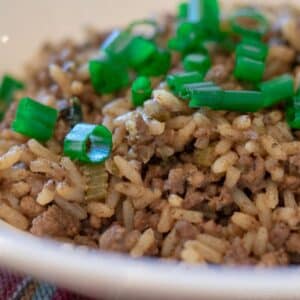 Dirty Rice with Green Onion Garnish in a white bowl.