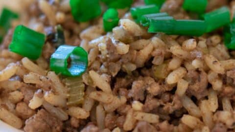 Dirty Rice with Green Onion Garnish in a white bowl.