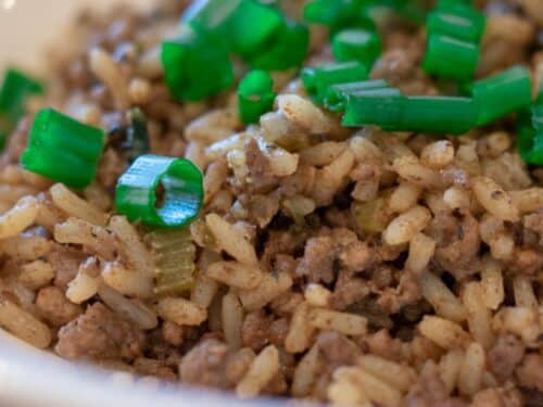 Dirty Rice with Green Onion Garnish in a white bowl.