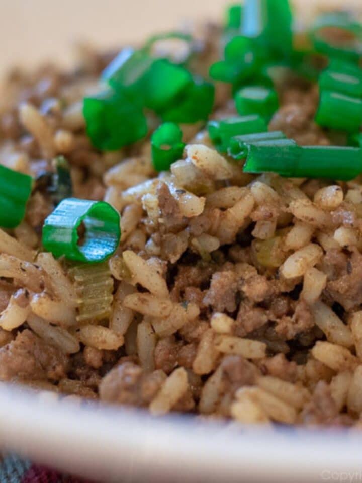 Dirty Rice with Green Onion Garnish in a white bowl.