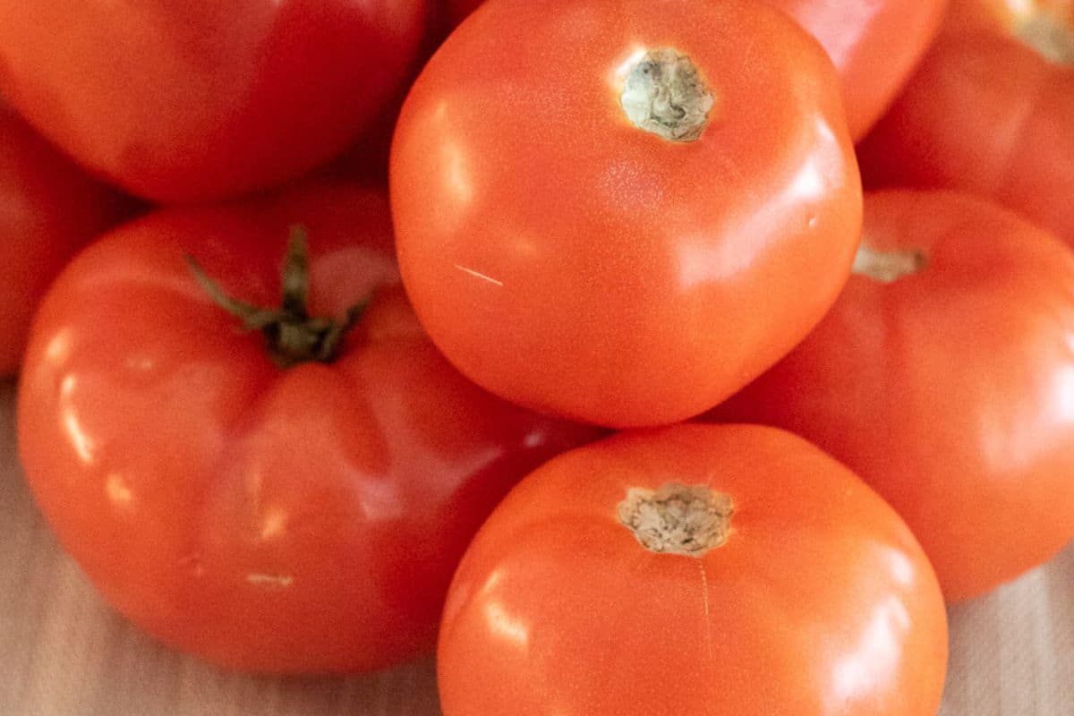 Several fresh tomatoes.