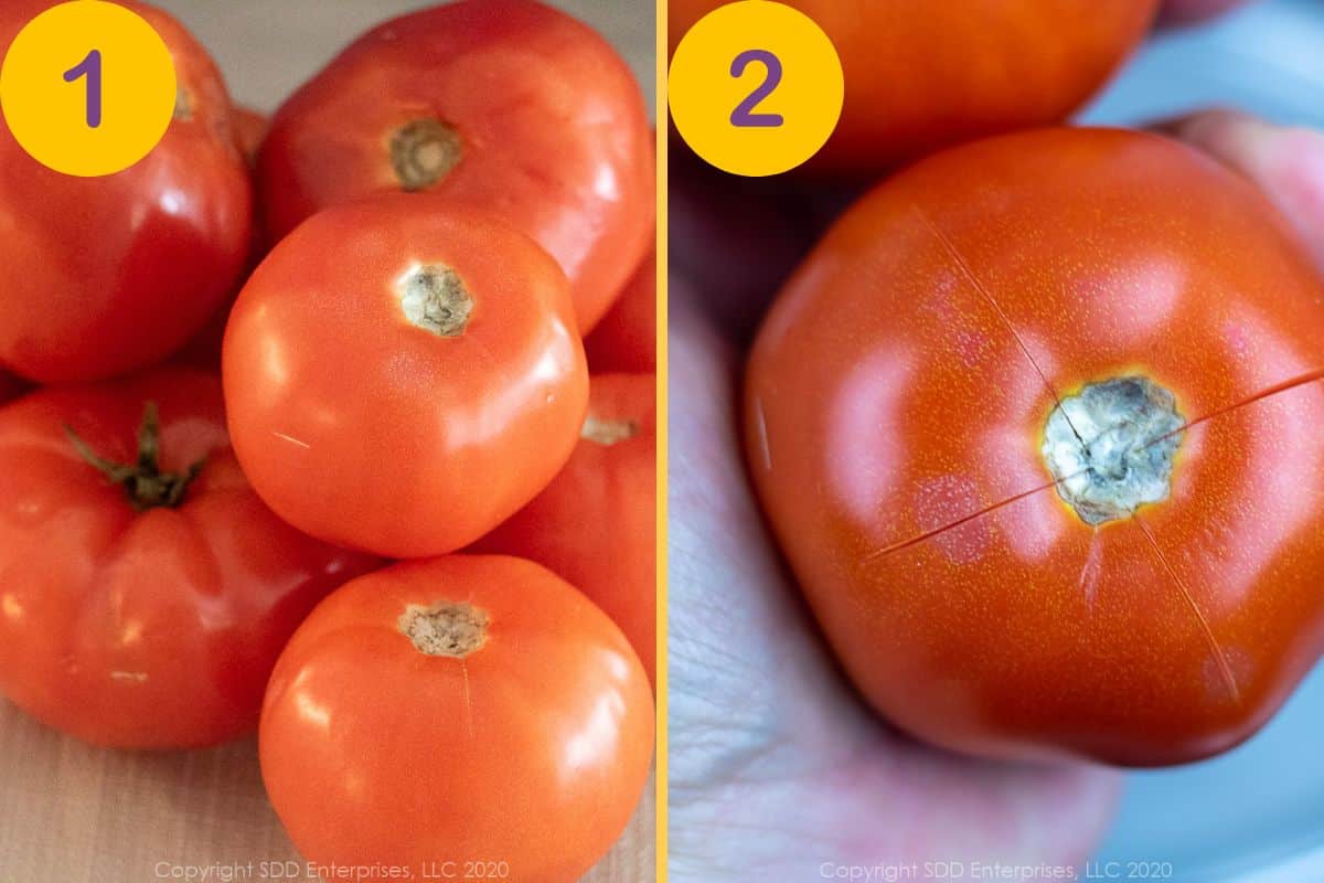 Preparing tomatoes for blanching.